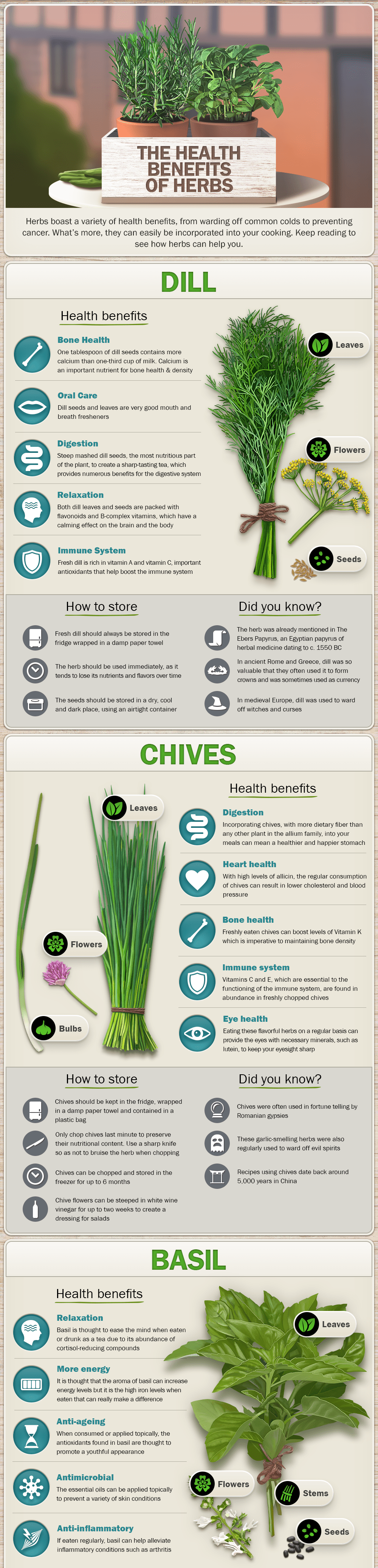 Herbs health benefits