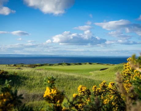 Fairmont St Andrews (Kittocks Course) ⛳️ Book Golf Online • golfscape™